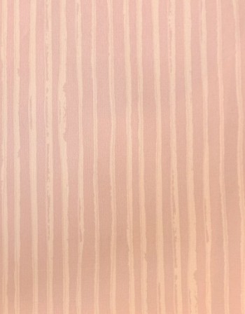 کاغذ دیواری قابل شستشو عرض 50 متفرقه آلبوم مای ادونچرز کد 066150-F